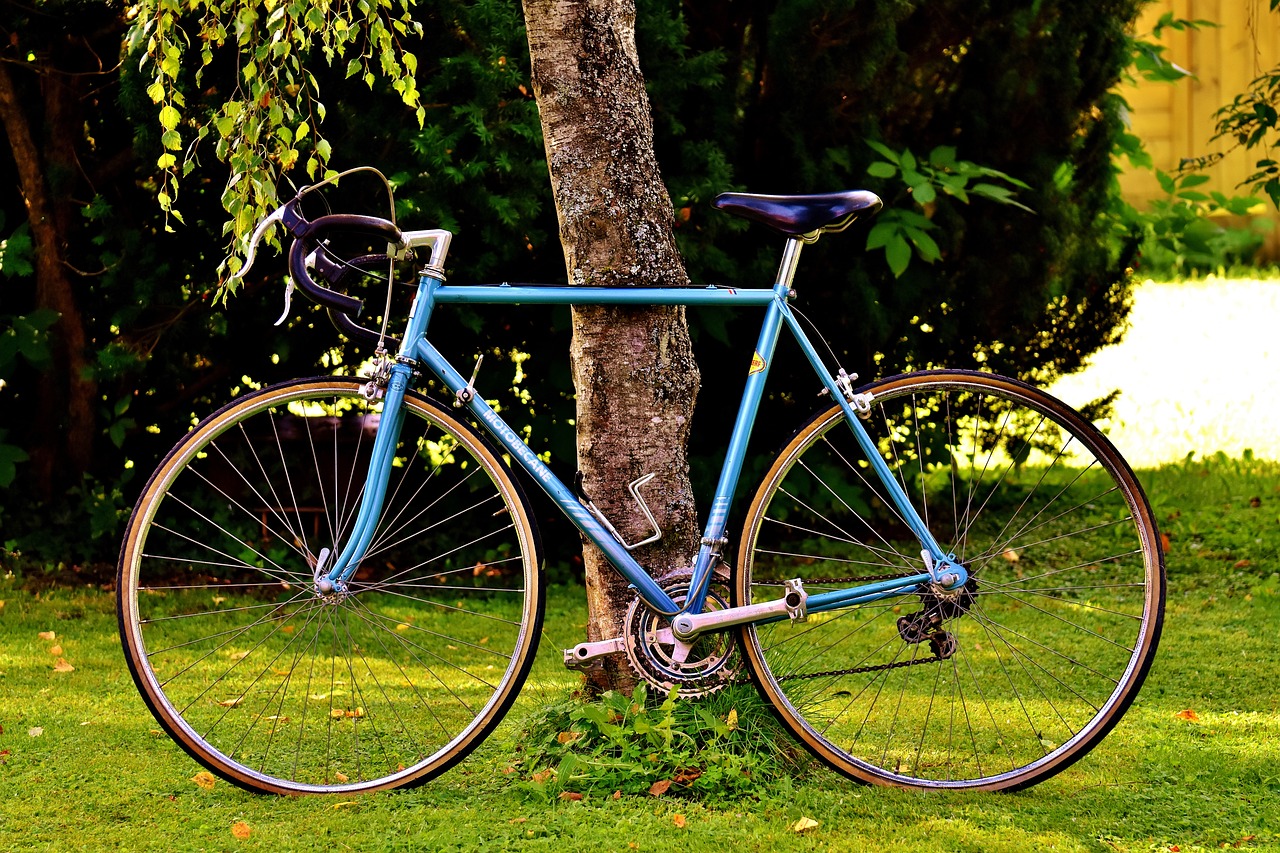 Fahrrad.jpg